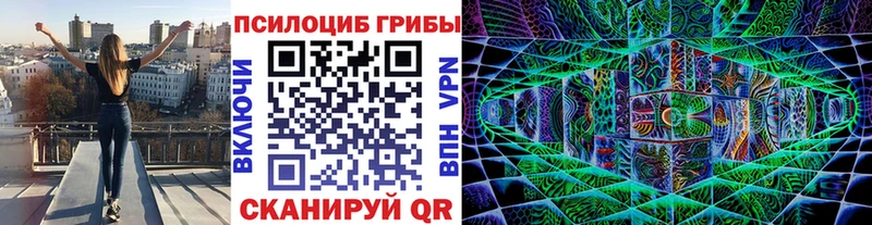 hydra ссылка  Чухлома  Псилоцибиновые грибы мухоморы 